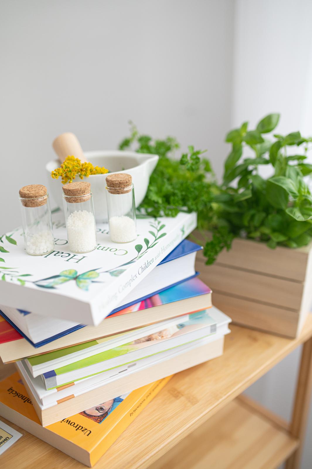 Homeopatia i naturopatia – materiały edukacyjne i narzędzia Justyny Kominek